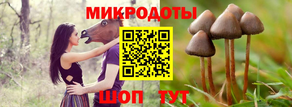Псилоцибиновые грибы MAGIC MUSHROOMS Бийск